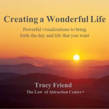 AUDIO: Creating a Wonderful Life (MP3/CD), Tracy Friend