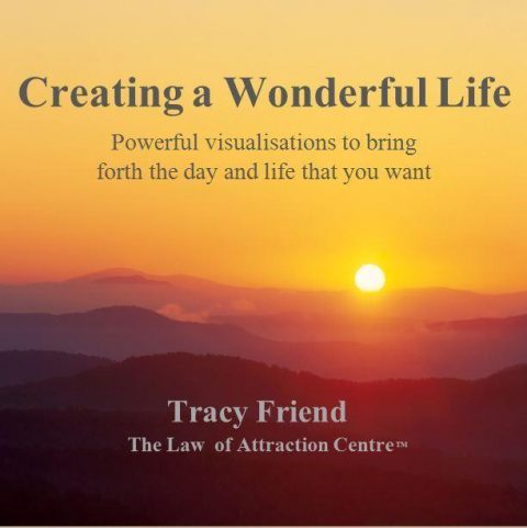 AUDIO: Creating a Wonderful Life (MP3/CD), Tracy Friend