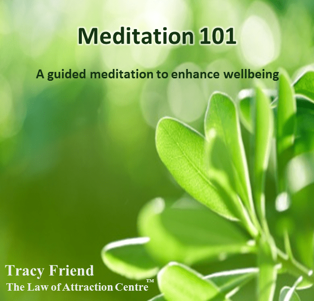 AUDIO: Meditation 101 (MP3/CD), Tracy Friend