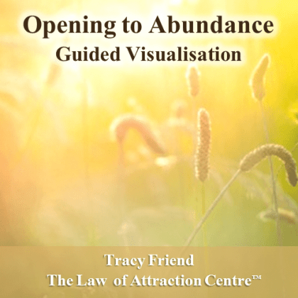 AUDIO: Opening to Abundance (MP3 Audio Recording), Tracy Friend